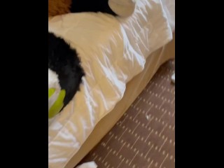 Furry Gets buzzed With a Magic Wand while In Fursuit