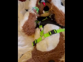 Furry Gets buzzed With a Magic Wand while In Fursuit