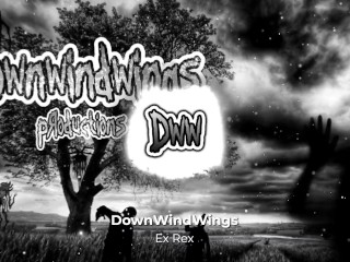 DownWindWings - Ex Rex