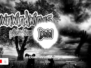 DownWindWings - Ex Rex