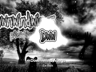 DownWindWings - Ex Rex