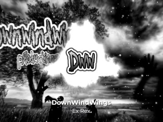 DownWindWings - Ex Rex