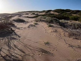 EXPLORING STRANDED SHIP 🚢 XL - ASS🍑 Fucked on the Beach🏖️ ~ Mei Pang