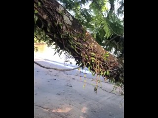 Exibindo minha buceta em Angra dos Reis - Brasil - praia social comum