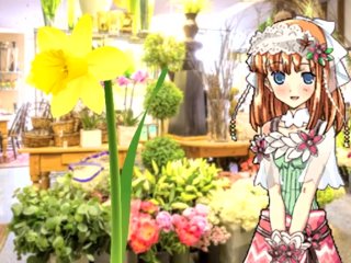 【SFW Rune Factory Audio RP】Shara Helps You Make a Bouquet & Teaches You About Flowers 【F4A】