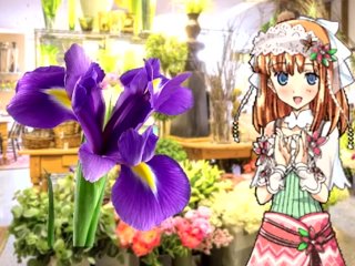 【SFW Rune Factory Audio RP】Shara Helps You Make a Bouquet & Teaches You About Flowers 【F4A】