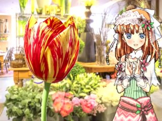 【SFW Rune Factory Audio RP】Shara Helps You Make a Bouquet & Teaches You About Flowers 【F4A】