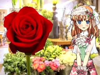 【SFW Rune Factory Audio RP】Shara Helps You Make a Bouquet & Teaches You About Flowers 【F4A】