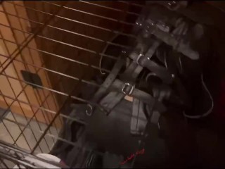 Scarlett Kage bad Puppy obedience - bondage, cage, humiliation, dildo sucking, sph