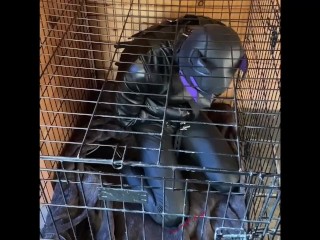 Scarlett Kage bad Puppy obedience - bondage, cage, humiliation, dildo sucking, sph