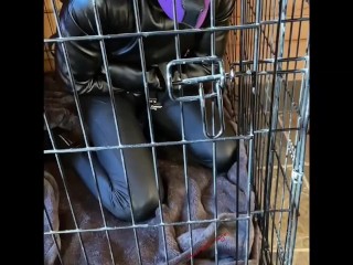 Scarlett Kage bad Puppy obedience - bondage, cage, humiliation, dildo sucking, sph