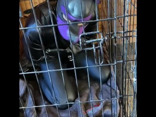 Scarlett Kage bad Puppy obedience - bondage, cage, humiliation, dildo sucking, sph