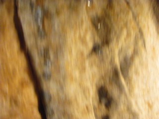 FUCVph4 SCHOOLGIRLS Sandra Russo Sarah Louis Young - just the CUMshot