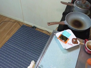 【Prof_FetihsMass】 Take it easy Japanese food! [vs BAGooooN]