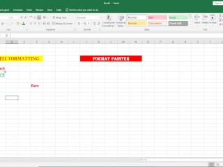 Format Painter in Excel