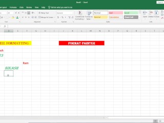 Format Painter in Excel