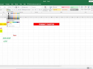 Format Painter in Excel