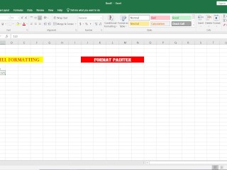 Format Painter in Excel