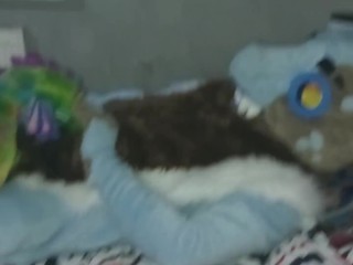 Furry fucking a plush toy