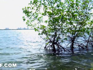 MYGF - In Miami With Brie Viano Fucking In Public, Living Our Best Lives