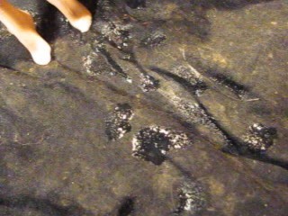 FUCVph4 Jessica May (& Sandra Russo) NAKED - Just The Cumshot version