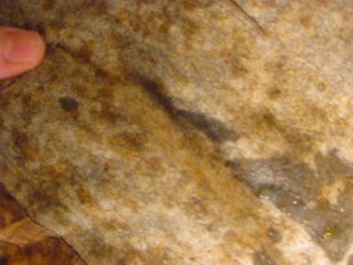 FUCVph4 Jessica May (& Sandra Russo) NAKED - Just The Cumshot version