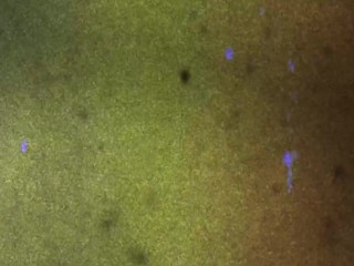 FEMOUT.XXX: Alana Jade - Ready to Pop!