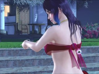 Dead or Alive Xtreme Venus Vacation Shandy Valentine's Day Pose Cards Fanservice Appreciation