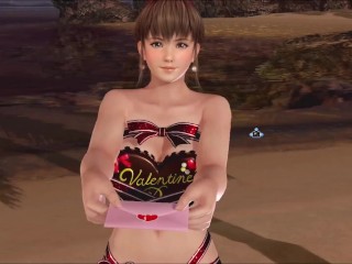 Dead or Alive Xtreme Venus Vacation Hitomi Valentine's Day Pose Cards Fanservice Appreciation