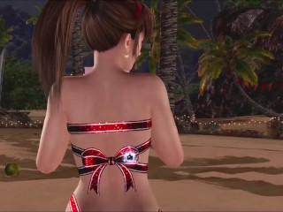 Dead or Alive Xtreme Venus Vacation Hitomi Valentine's Day Pose Cards Fanservice Appreciation