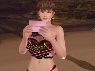 Dead or Alive Xtreme Venus Vacation Hitomi Valentine's Day Pose Cards Fanservice Appreciation