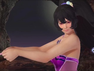 Dead or Alive Xtreme Venus Vacation Ayane Valentine's Day Pose Cards Fanservice Appreciation