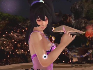 Dead or Alive Xtreme Venus Vacation Ayane Valentine's Day Pose Cards Fanservice Appreciation