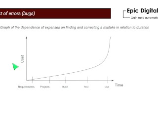 The real cost of errors (bugs)