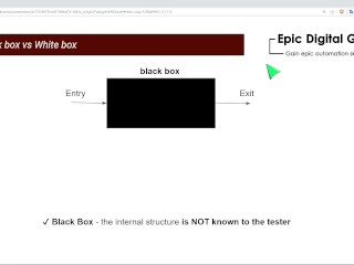 Black box vs White box