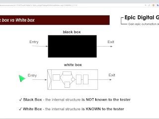 Black box vs White box