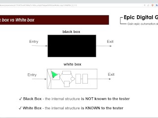 Black box vs White box