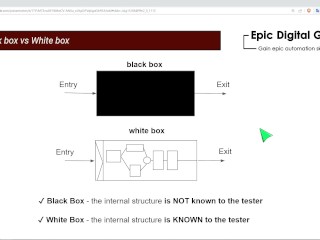 Black box vs White box
