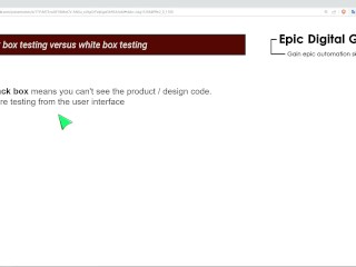 Black box vs White box