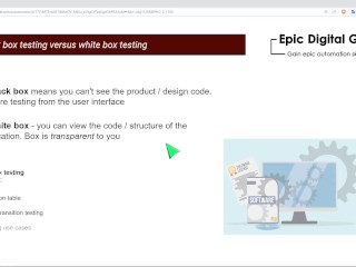 Black box vs White box
