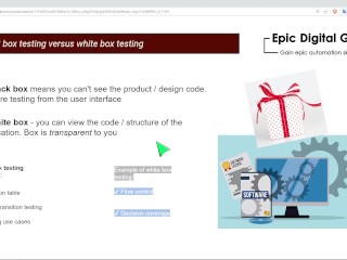 Black box vs White box