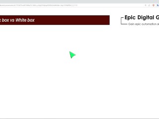 Black box vs White box