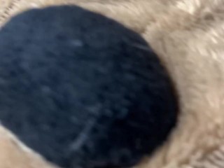 Intense orgasm from stuffie humping