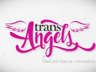 Leave Something Behind / TransAngels