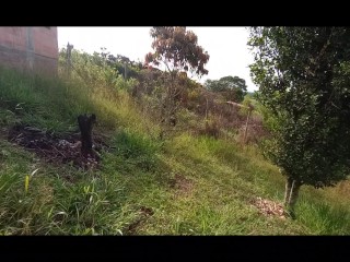 un dia al aire libre !!! chupar al aire libre es lo mejor !!! creo que nadie nos vio sera una secret