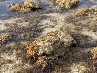 Tara lumayo tayo sa mga tao para mag kantutan