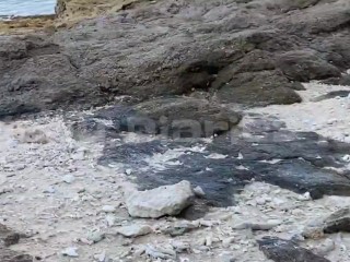 Tara lumayo tayo sa mga tao para mag kantutan