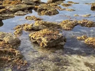 Tara lumayo tayo sa mga tao para mag kantutan