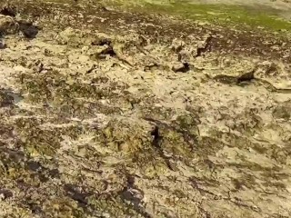 Tara lumayo tayo sa mga tao para mag kantutan