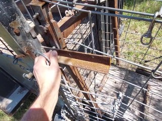 In the country with a wild hog and swinging my cock